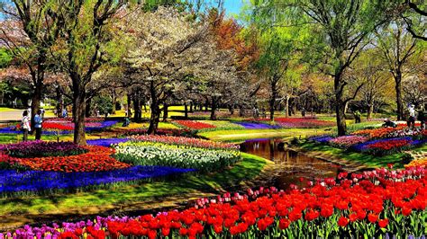 Flowers Park Parks Garden Gardens Colorful Flower Hd Beauty Of Nature