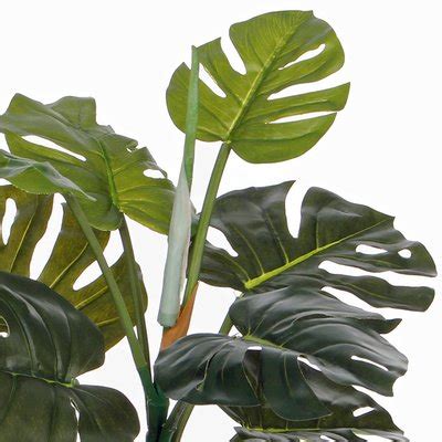 Shop Kunstplant Philodendron Groen H 48cm Keramiek Sierpot Mica