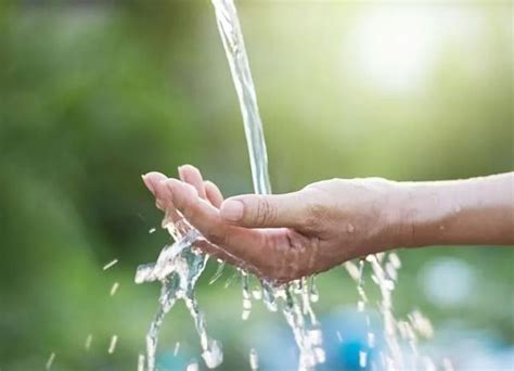 En El Día Mundial Del Medio Ambiente Importancia Del Agua Y Dos