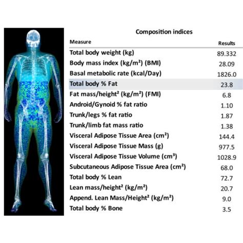 Dexa Body Composition Scan • Oracle Healthcare