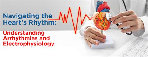 Navigating The Hearts Rhythm Understanding Arrhythmias And