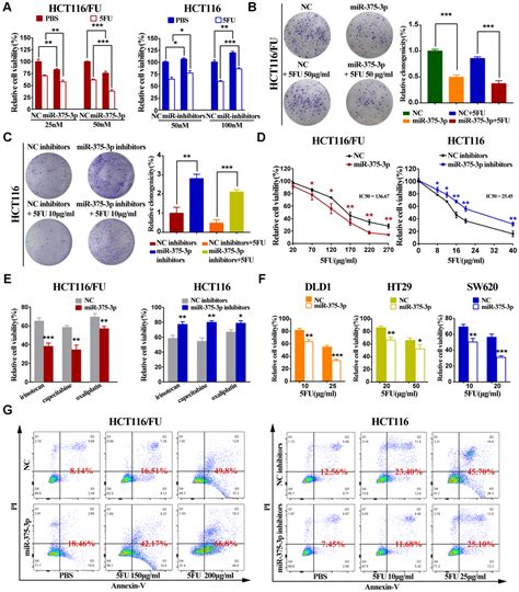 Mir 375 3p Suppresses Tumorigenesis And Partially Reverses Chemoresistance By Targeting Yap1 And