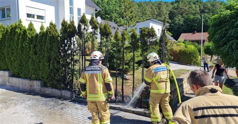 Mit Bunsenbrenner Gegen Unkraut Schon Brannte In Ebersdorf Bei Coburg