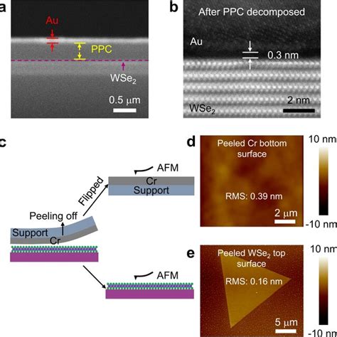 Wafer Scale Van Der Waals VdW Integration Processes Ad Schematics