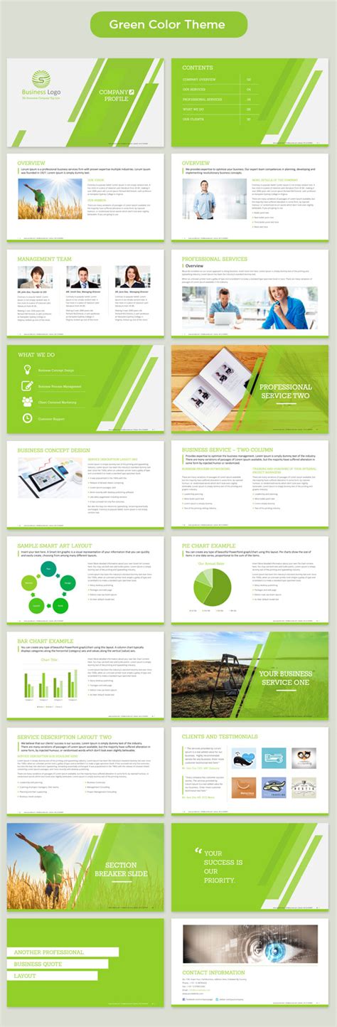 Company Profile Powerpoint Template Company Profile Ppt Slides