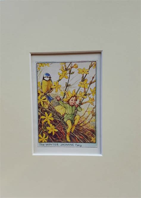 Flower Fairy Mounted Vintage Print Winter Jasmine Fairy Cicely Etsy