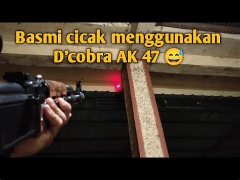 Basmi Cicak Di Rumah Tetangga Youtube