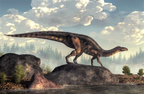 How The Triassic Extinction Helped Dinosaurs Take Over The Planet