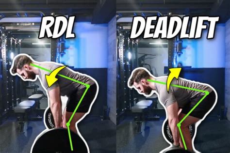 Romanian Deadlift Rdl Vs Conventional Deadlift Differences