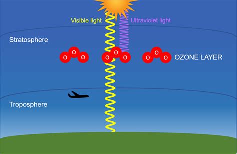 Ozone Layer Diagram