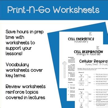 Photosynthesis And Cellular Respiration Unit Growing Bundle Print And