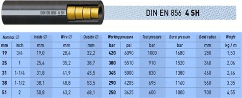 DIN EN 856 4SP 4SH