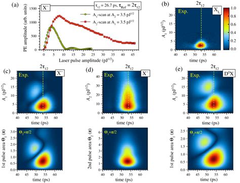 Color Rabi Oscillations Measured On The Various Localized Exciton