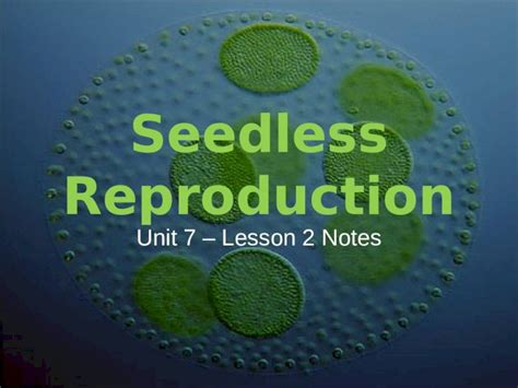 Ppt Seedless Reproduction Unit 7 Lesson 2 Notes Seedless