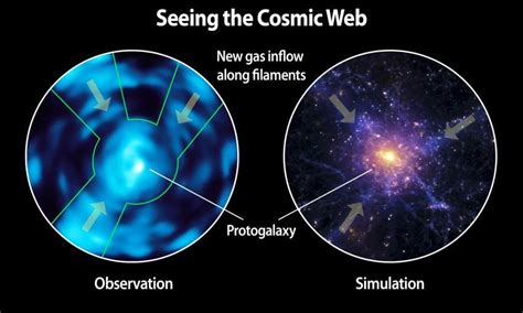 Cosmic Web Imager Views Intergalactic Medium Directly Observes Dim