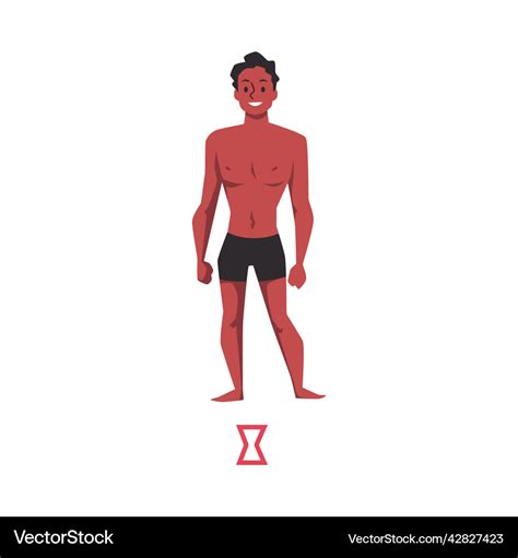 Human Male Body Type Of Hourglass Shape Flat Vector Image