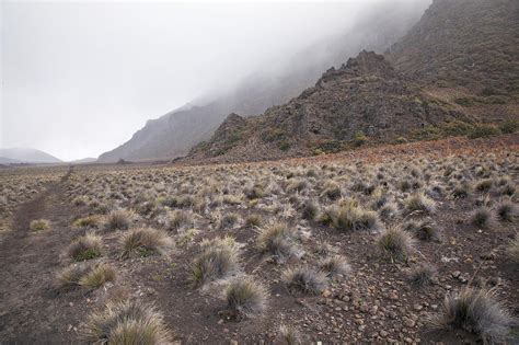 Haleakala Hiking Trail II Photograph by Jenna Szerlag - Fine Art America