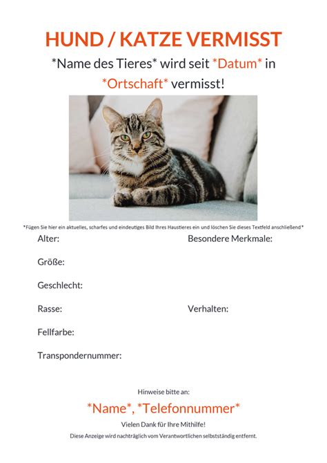 Wie Eine Vorlage F R Vermisste Katzen Und Hunde Erstellen