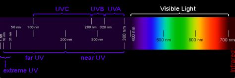 Detecting Ultraviolet Light Using Tonic Water Center For Science