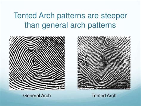 Fingerprint patterns