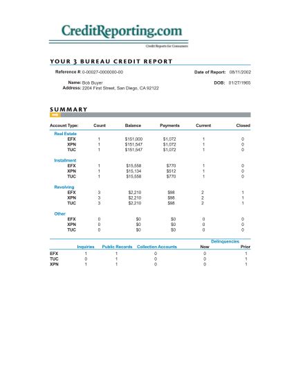 Sample Credit Report