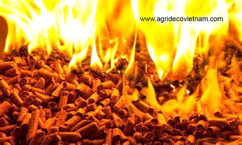 Wood Pellet Vietnam Agrideco Vietnam Co Ltd