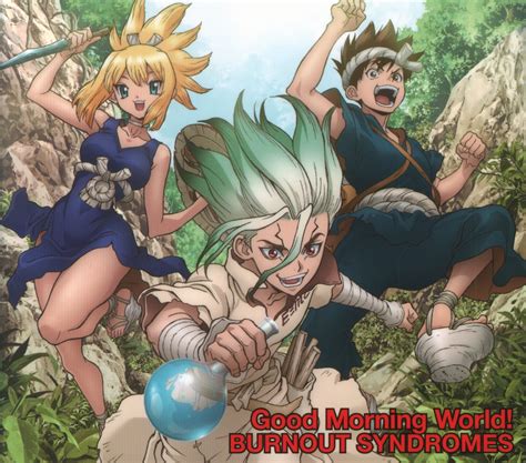 Cd Burnout Syndromes Good Morning World Dr Stone Mandarake