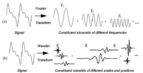 1 Basic Differences Between Fourier Basis A And Wavelet Basis B