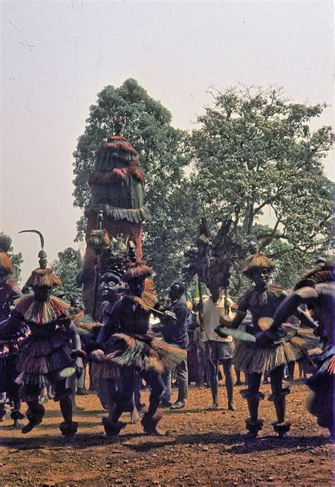 A History of Cameroon