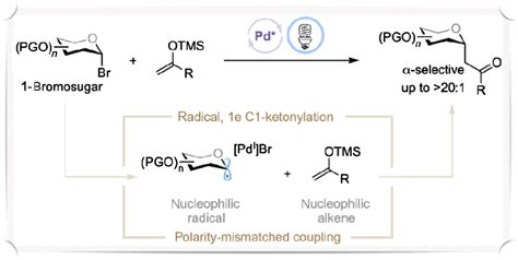 Excited State Palladium Catalyzed Selective C Ketonylation Ccs