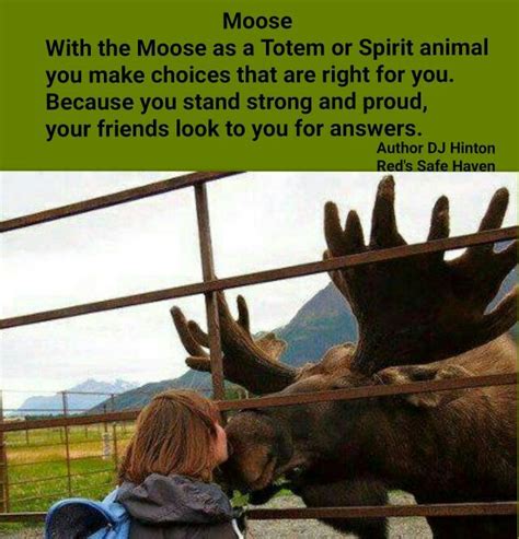 Dj Hinton Totem Or Spirit Animal Moose Animal Spirit Guides Spirit