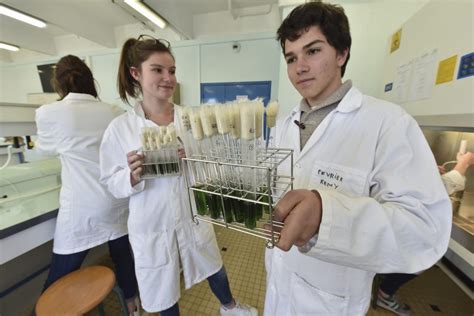 La recherche à l IUT Département Génie Biologique IUT La Rochelle