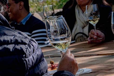 Tour Privato Di Vigneti E Degustazione Di Vini Da Guanajuato Fornito Da