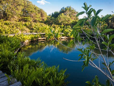 Types of cenotes in the Yucatán Peninsula