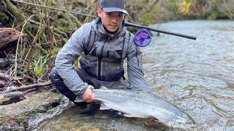 Hôm nay sảy toàn cá to Quinault River 20lb Steelhead centerpin pnw