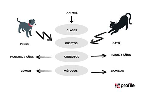 ¿qué Es La Programación Orientada A Objetos