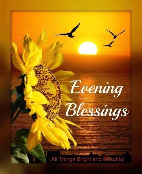 Sunflower Evening Blessing Pictures Photos And Images For Facebook