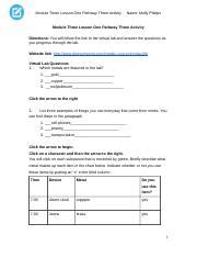 Module Three Lesson One Pathway Three Activity Molly Docx Module