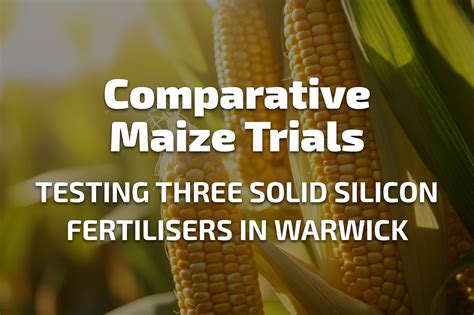 Maxsil Silicon Fertiliser Boosts Yield