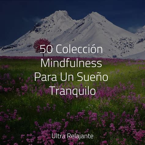 Momentos Zen M Sica Para Dormir Con Relajantes Sonidos De La