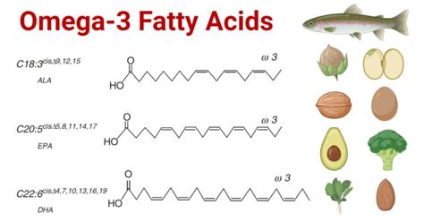 Omega-3 Fatty Acids: Functions, Sources, Types, Benefits