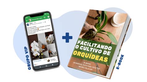 Manual Facilitando O Cultivo De Orqu Deas Tudo Jardim