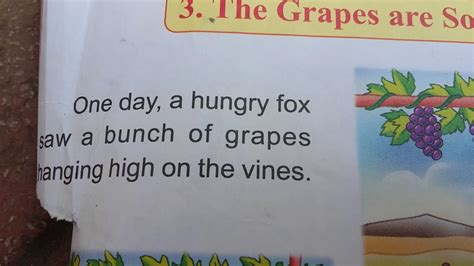 The Grapes And Sour Youtube