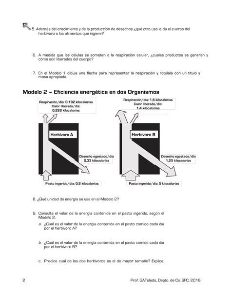 Transferencia de energía en los seres vivos Guía para primero medio