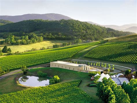 The 13 Best Yarra Valley Wineries Yarra Valley Cellar Doors To Visit