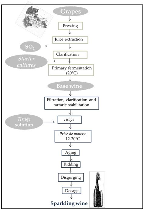 Fermentation Free Full Text Starter Cultures For Sparkling Wine HTML