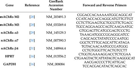 Real Time Pcr Primers Used For The Mrna Quantification Of Machrs And Download Scientific