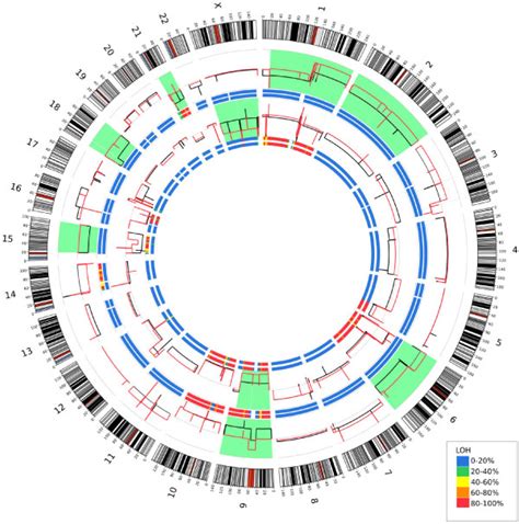 Circos Plot Depicting Copy Number In The Genome Outer Ideogram Runs