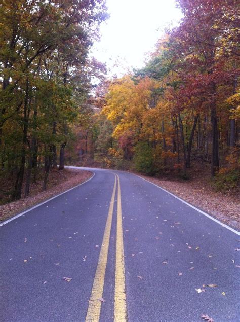 Alabama Fall Foliage Map | North Alabama Fall Color Trail