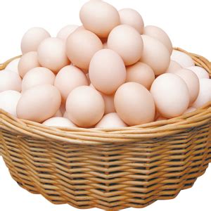 عکس PNG تخم مرغ Egg PNG Image دانلود رایگان